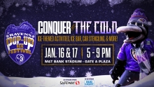 Ravens Pop-Up Ice Festival