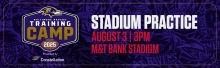 Baltimore Ravens Practice