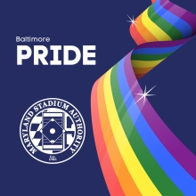 MSA logo featuring a wavy rainbow flag